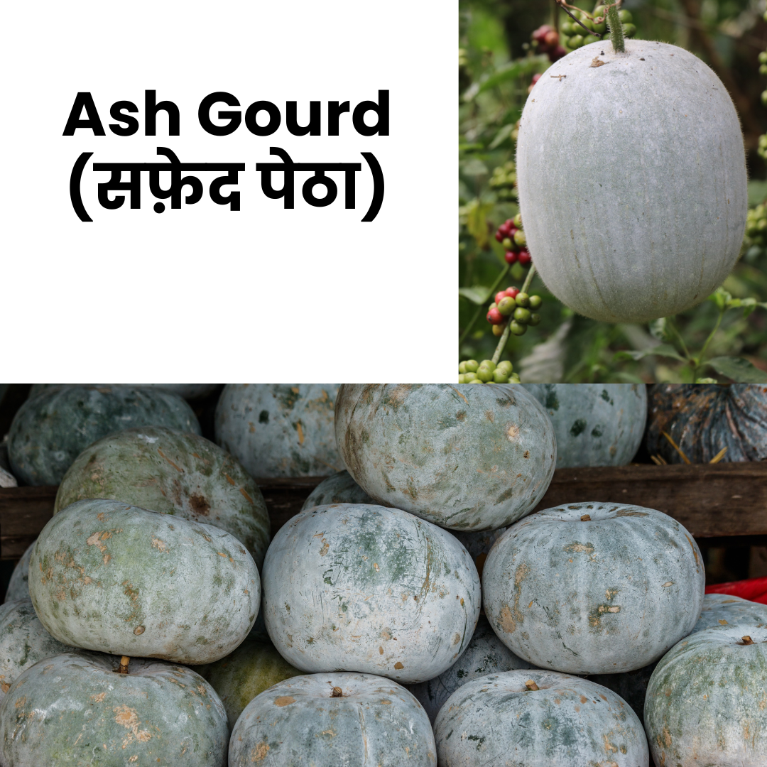 AshGourd_Petha_NatureBasket