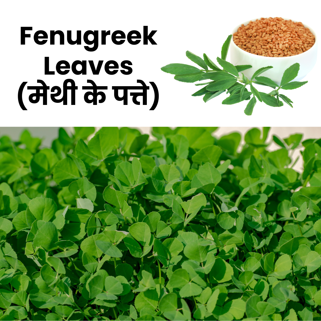 FenugreekLeaves_Methi_NatureBasket