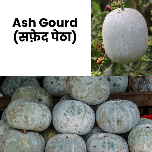AshGourd_Petha_NatureBasket