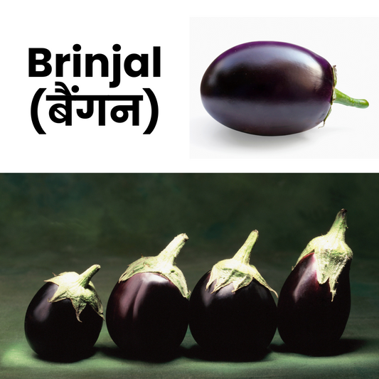 Brinjal (Bengan)