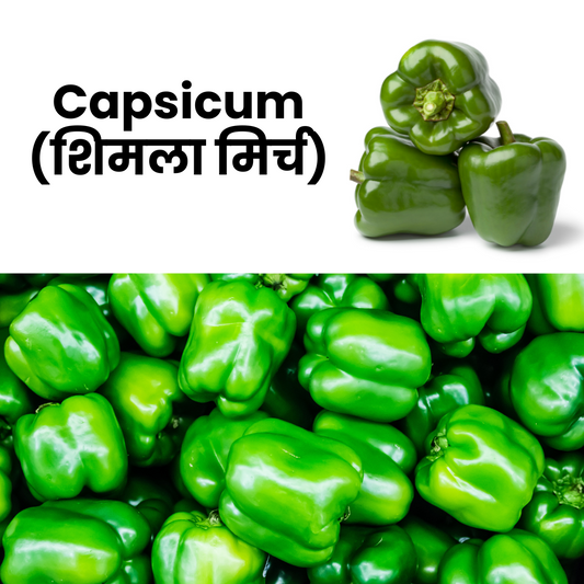 Capsicum_Shimla Mirch_NatureBasket
