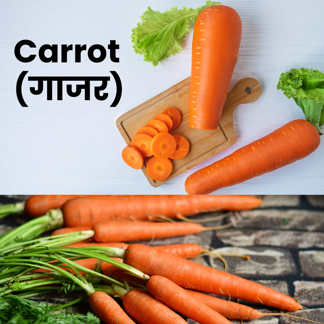 Carrot (Gajar)