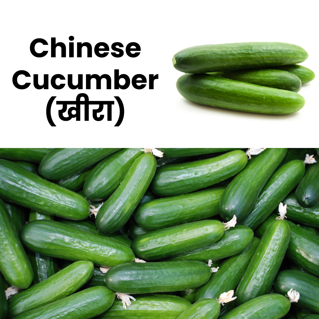 Chinese Cucumber (Chinese Kheera)