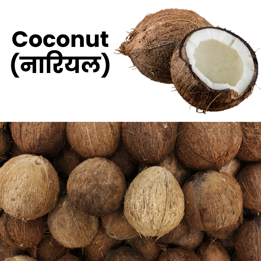 Coconut (Nariyal)