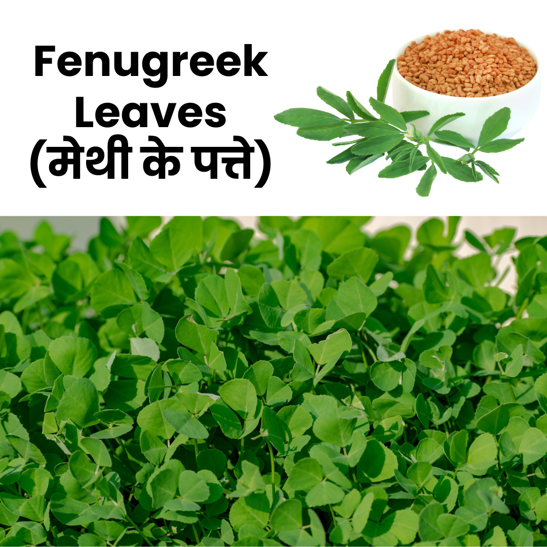 Fenugreek Leaves (Methi)