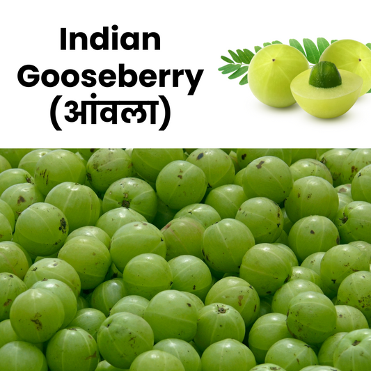 Indian Gooseberry (Amla)