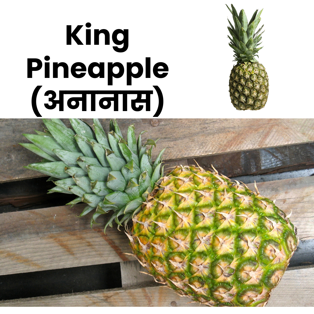 KingPineapple_Kew_NatureBasket