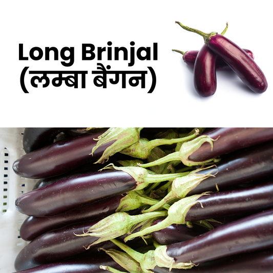 Long brinjal with text indicating the name in English and Hindi on a white background