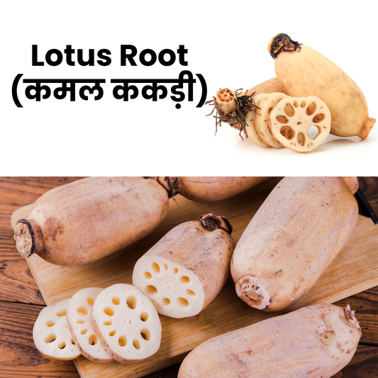 LotusRoot_Kamalkakdi_NatureBasket
