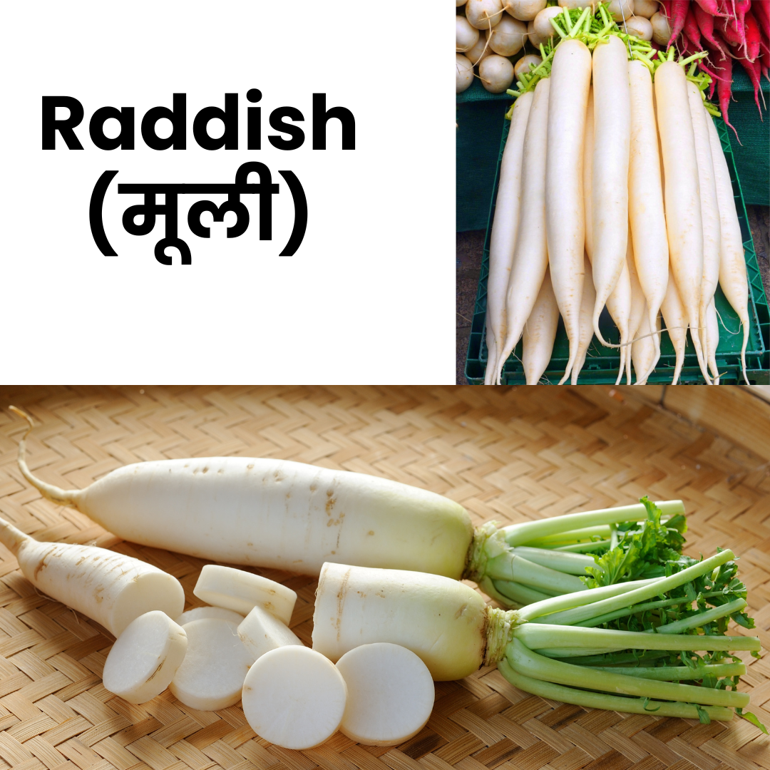 Raddish (Mooli)