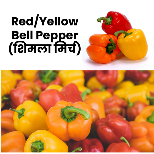 Red & Yellow Bellpepper