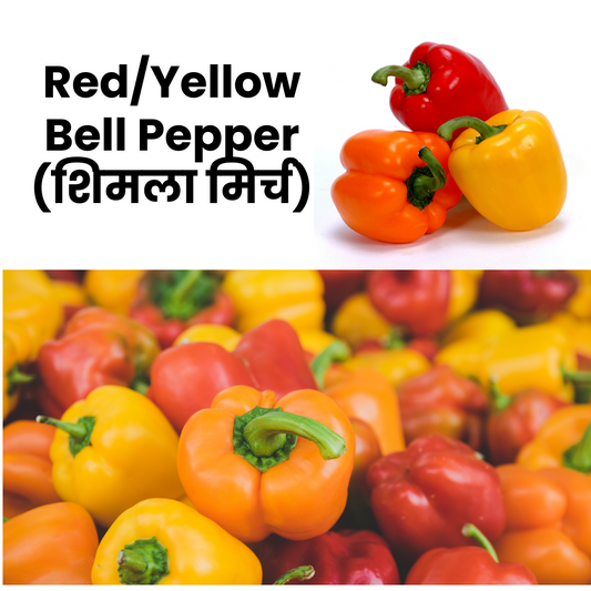 Red and yellow bell peppers with text indicating the name in both English and Hindi.