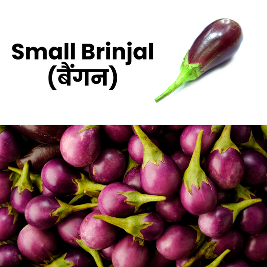 Small brinjal with text indicating 'Small Brinjal (बैगन)' on a white background.