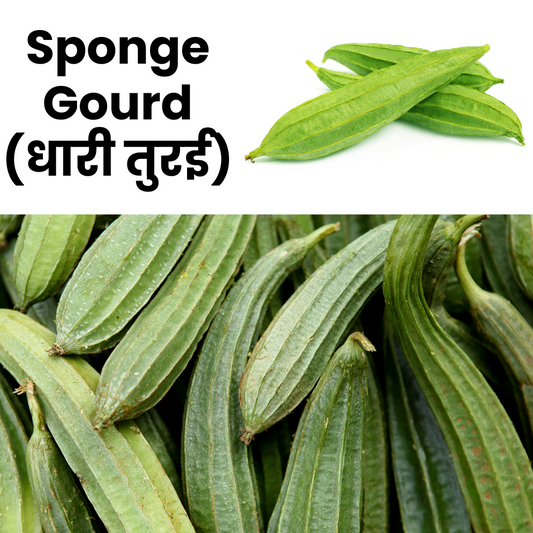 Sponge Gourd_Turai_Nature Basket
