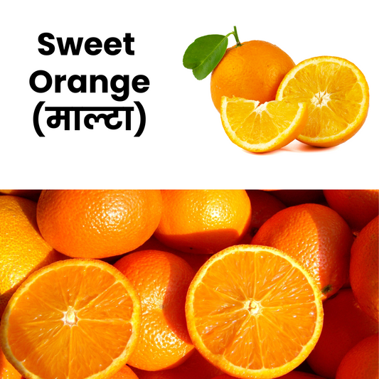 SweetOrange_Malta_NatureBasket